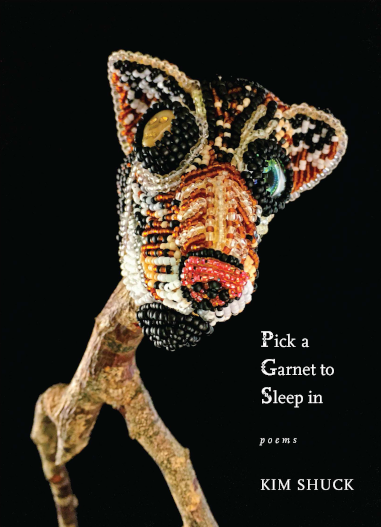 Cover of Pick a Garnet to Sleep in: Poems